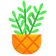 Basil